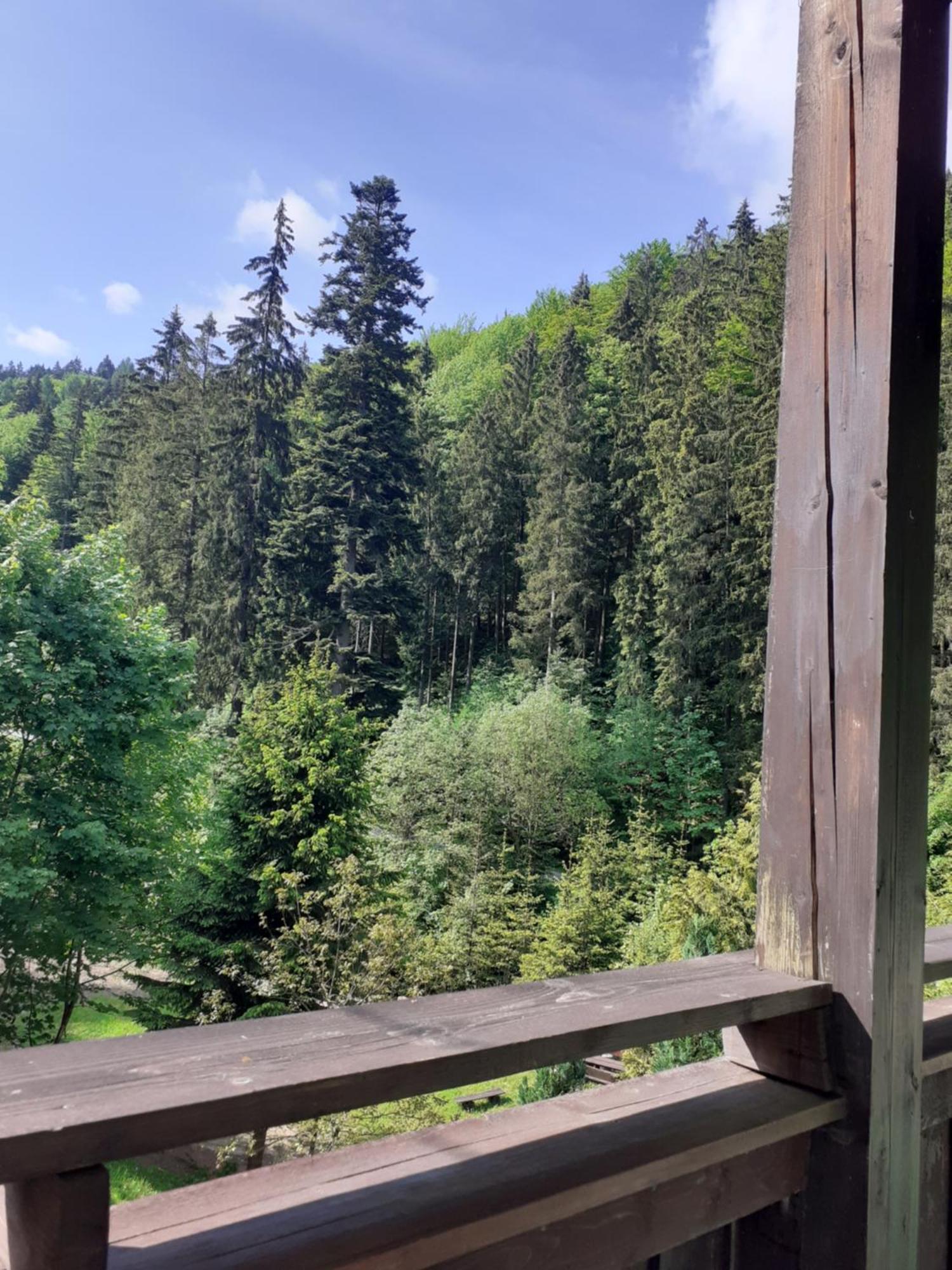 Apartamenty Kaskada Miedzygorze Kamer foto