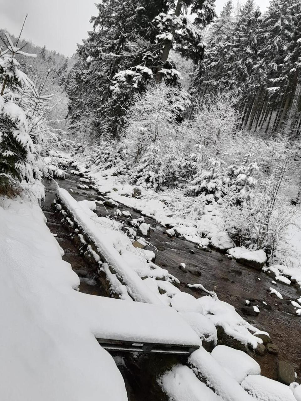 Apartamenty Kaskada Miedzygorze Buitenkant foto